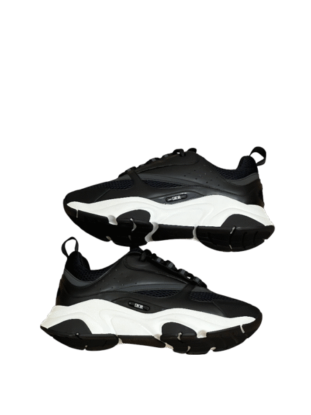 DIOR B22