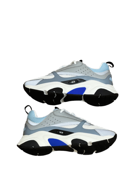 DIOR B22